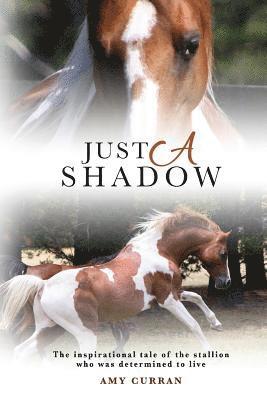 Amy Curran - Just A Shadow, Häftad