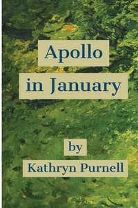 bokomslag Apollo in January