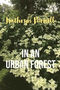bokomslag In an Urban Forest