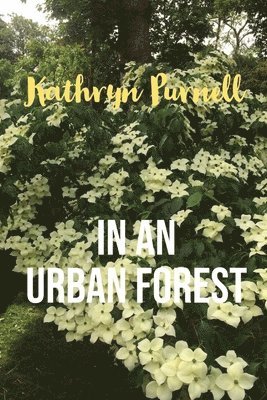 In an Urban Forest 1