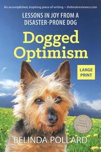 bokomslag Dogged Optimism (Large Print)