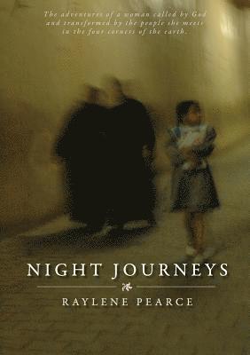 bokomslag Night Journeys
