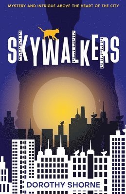 bokomslag Skywalkers