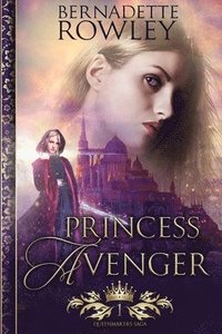 bokomslag Princess Avenger
