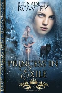 bokomslag Princess in Exile