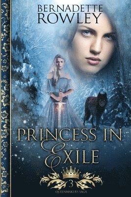 bokomslag Princess in Exile