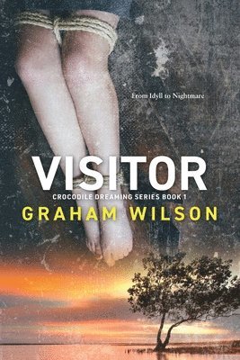 Graham Stewart Wilson, Stewart Wilson, Graham - Visitor, Häftad