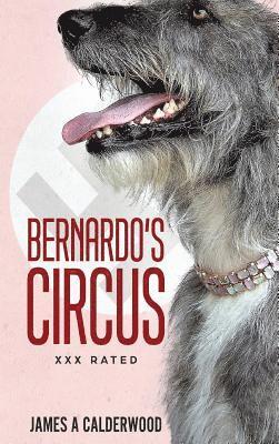 Bernado's Circus 1