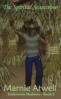 bokomslag Spirited Scarecrow