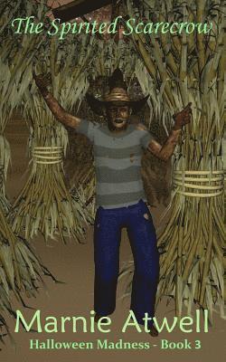 bokomslag Spirited Scarecrow