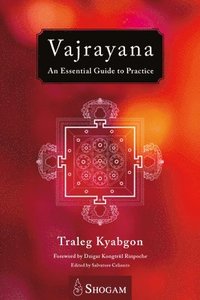 bokomslag Vajrayana