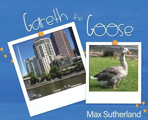 Gareth the Goose 1