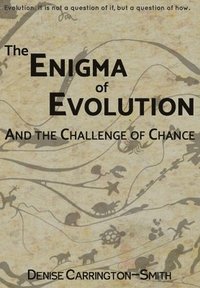 bokomslag Enigma of Evolution and the Challenge of Chance
