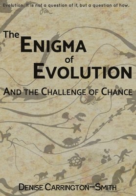 bokomslag Enigma of Evolution and the Challenge of Chance