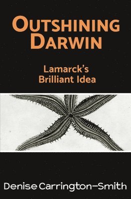 Outshining Darwin 1