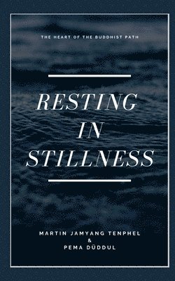 bokomslag Resting in Stillness