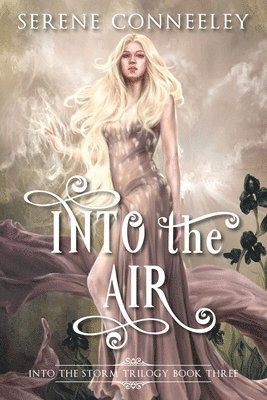 Into the Air: Into the Storm Trilogy Book Three 1