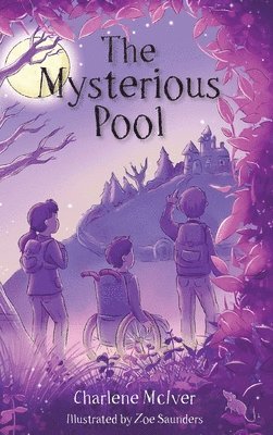bokomslag Mysterious Pool