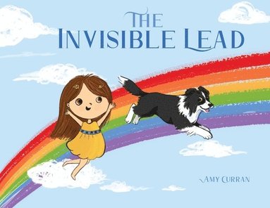 bokomslag Invisible Lead