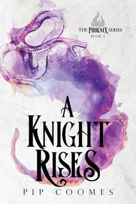bokomslag A Knight Rises