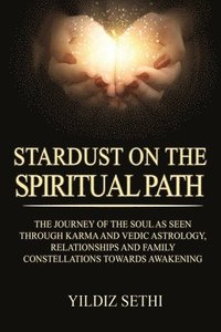 bokomslag Stardust on the Spiritual Path