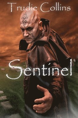 bokomslag Sentinel