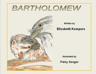 bokomslag Bartholomew