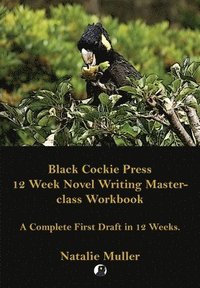 bokomslag Black Cockie Press 12 Week Novel Writing Masterclass Workbook