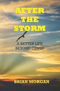 bokomslag After the Storm: A Better Life Beyond COVID