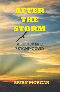bokomslag After the Storm: A Better Life Beyond COVID