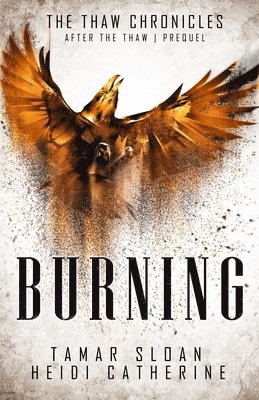 Tamar Sloan, Heidi Catherine - Burning, Häftad