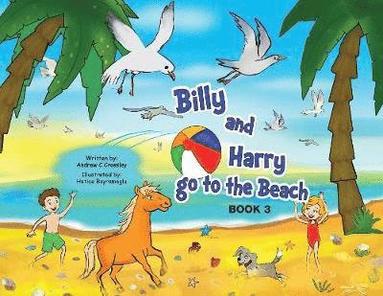 bokomslag Billy and Harry go to the beach