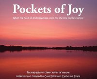 bokomslag Pockets of Joy