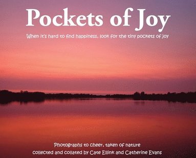 bokomslag Pockets of Joy