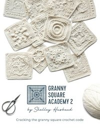 bokomslag Granny Square Academy 2