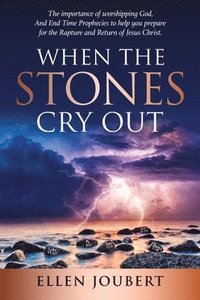 bokomslag When the Stones Cry Out