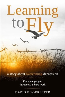 Learning to Fly: A story about overcoming depression 1