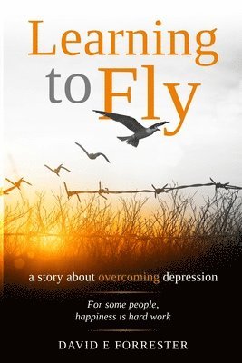 bokomslag Learning to Fly: A story about overcoming depression