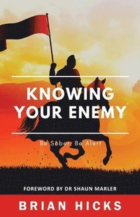 bokomslag Knowing Your Enemy