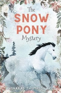 bokomslag The Snow Pony Mystery