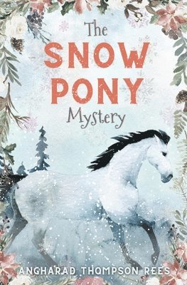 The Snow Pony Mystery 1