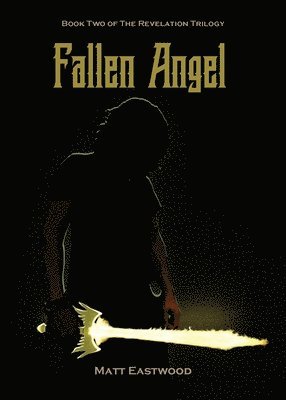 bokomslag Fallen Angel