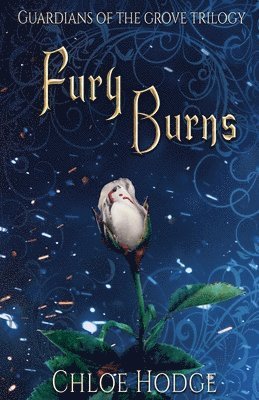 Fury Burns 1