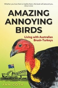 bokomslag Amazing Annoying Birds - Living with Australian Brush-turkeys
