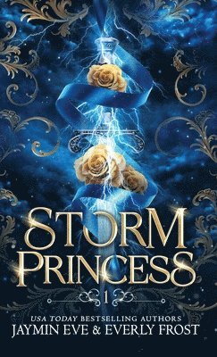 bokomslag Storm Princess