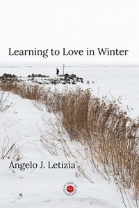 bokomslag Learning to Love in Winter