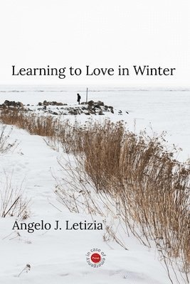 Angelo J Letizia - Learning to Love in Winter, Häftad