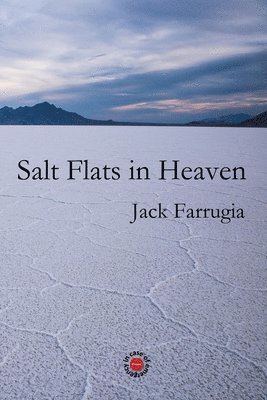 bokomslag Salt Flats in Heaven