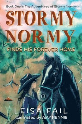 bokomslag Stormy Normy Finds His Forever Home: Book One in The Adventures of Stormy Normy