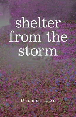 Shelter from the Storm 1